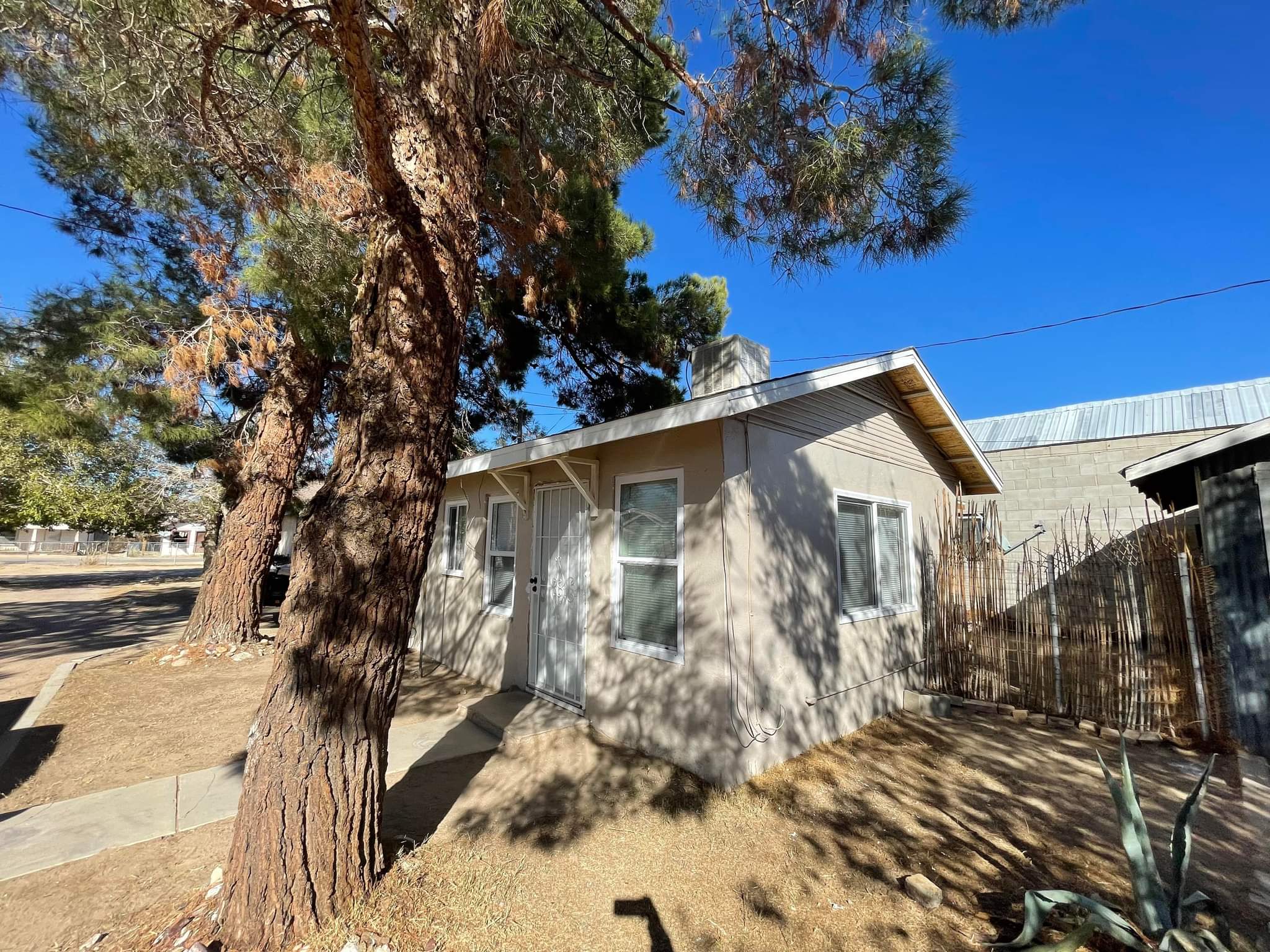 Yermo 6 Pack - 38174 #2